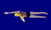 180px Freestyle swimming